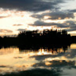 Meet your Posher, Ann